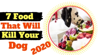 7 foods you didn’t know could kill your dog ! Dog Health Tips 2020