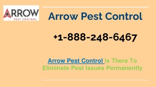 Arrow Pest Control