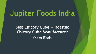 Best Chicory Cube — Roasted Chicory Cube Manufacturer from Etah
