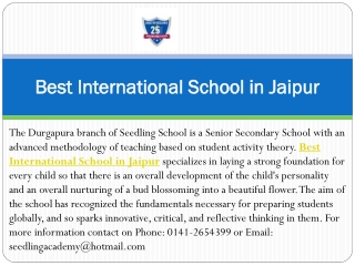 Best International School in Jaipur - Seedling Schools