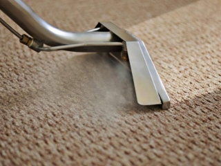 Carpet cleaning companies Alvin