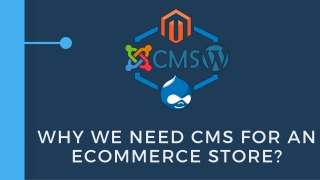 Why We Need CMS for an eCommerce Store?