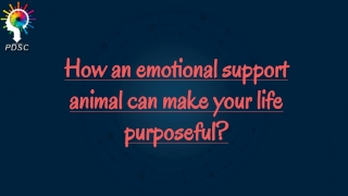 How an emotional support animal can make your life purposeful?