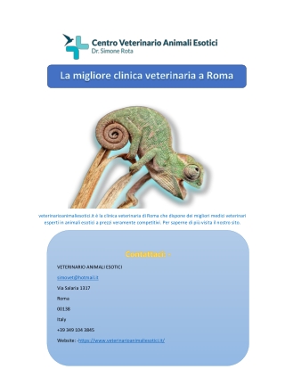 La migliore clinica veterinaria a Roma