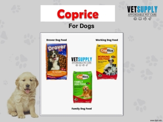 Coprice Dog Food - Vetsupply