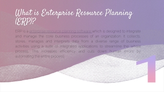 What is Enterprise Resource Planning (ERP)?