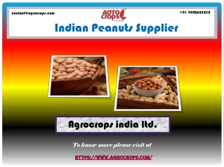 Your Favourite Indian Peanuts Supplier