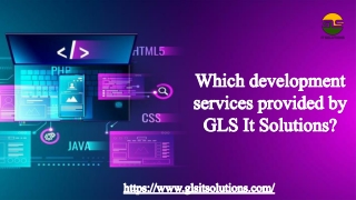 Which development services provided by GLS It Solutions?