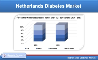 Netherlands Diabetes Market will be USD 4.48 Billion by 2025