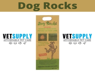 Dog Rocks - Vetsupply
