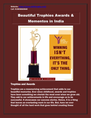Beautiful Trophies Awards & Mementos in India - Delhi Trophy