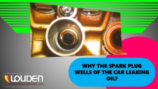 Why the Spark Plug Wells of the Car Leaking Oil