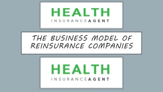 Model of Reinsurance Companies