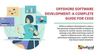 Offshore Software Development: A Complete Guide for CEOs