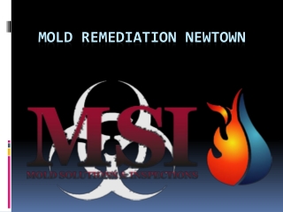 Mold Remediation Newtown