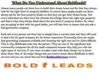 What Do You Understand About Boldleads?