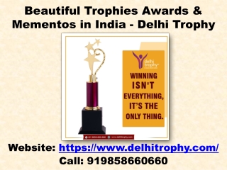 Beautiful Trophies Awards & Mementos in India - Delhi Trophy