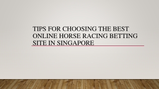 Tips For Choosing The Best Online Horse Racing Betting Site In Singapore