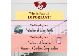 Importance of Payroll | RedMoutain Asia