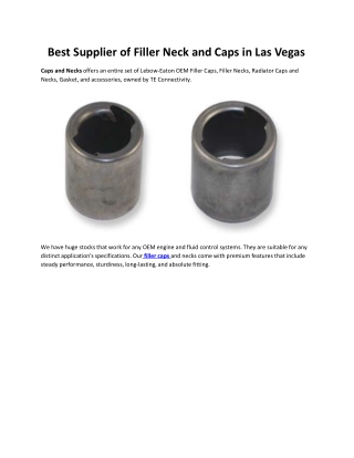 Best Supplier of Filler Neck and Caps in Las Vegas