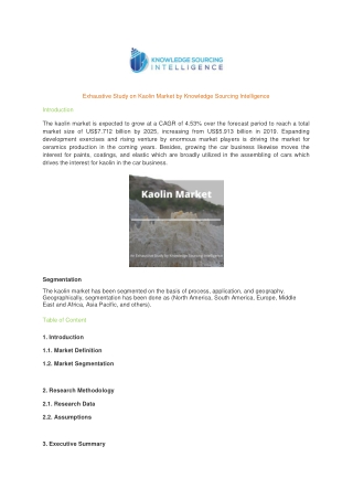 Exhaustive Study on Kaolin Market