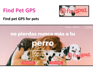 Localizador para perros