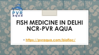 Fish Medicine in Delhi NCR-PVR AQUA