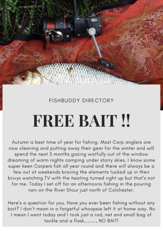 Enjoy Fishing Time with Free Bait Fishing |  Fishbuddy Directory