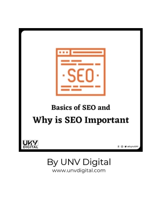 Importance of SEO and Basics You Need to Know