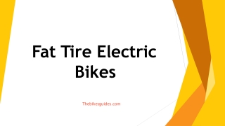 Fat Tire Electric Bikes