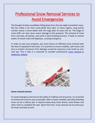 Professional Snow Removal Services to Avoid Emergencies