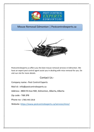 Mouse Removal Edmonton | Pestcontrolexperts.ca