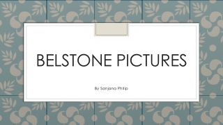 Belstone Pictures