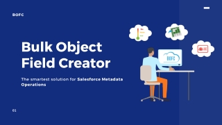 BOFC | The smartest solution for Salesforce Metadata Operations