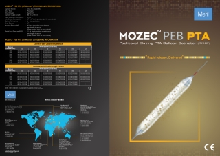 Mozec PEB PTA Balloon Catheters