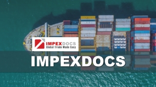 How ImpexDocs Came a Long Way Along Since Its 2004 Launch