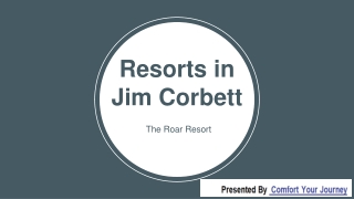 Corporate Team Outing in Jim Corbett – The Roar Resort Jim Corbett