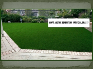 What Are The Benefits Of Artificial Grass?