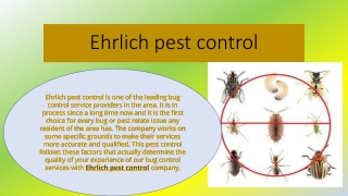 Get Instant pest removal with Ehrlich Pest Control