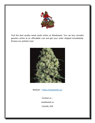 Premium Quality Weed Seeds | Weedseeds.ca