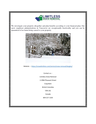Langley Snow Removal | Snowlimitless.com