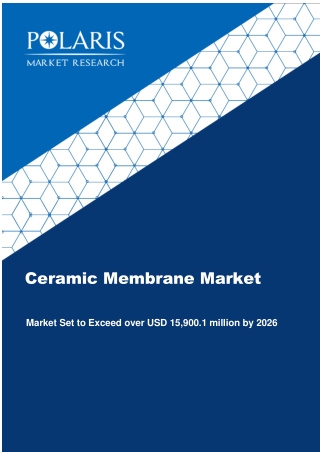 Ceramic Membrane Market Share, Size, Trends, Industry Analysis Report By Application (Water Treatment, Food & Beverages,