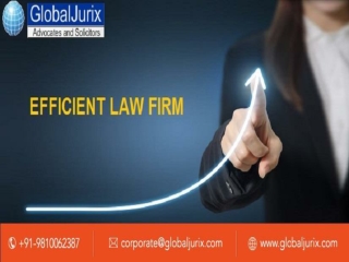 Fast and Easy Law Services by Efficient Legal Firm