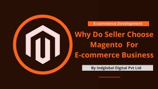 Why do seller choose Magneto for E-commerce Business