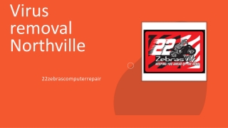 Virus removal Northville | 22zebrascomputerrepair