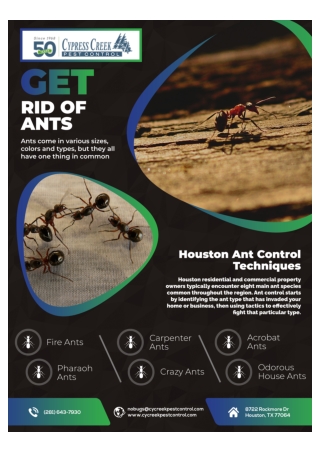 Pest Removal Houston | Houston Cockroach Control