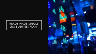 Ready made SINGLE LEG business plan