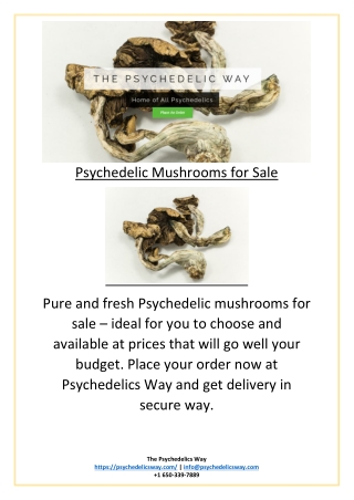 Psychedelic Mushrooms for Sale