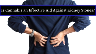 Is Cannabis an Effective Aid Against Kidney Stones?