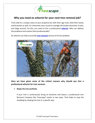 Why you need an arborist for your next tree removal job?